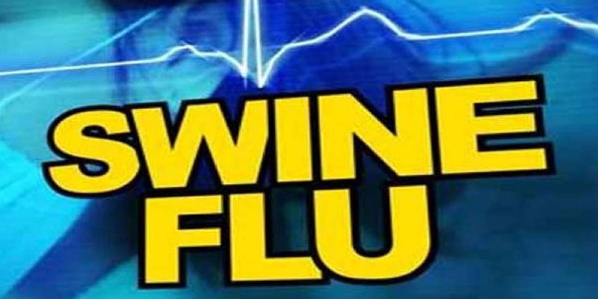 Child succumbs to swine flu in Telangana